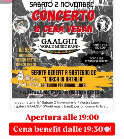 serata benefit associazione antispecista L'ARCA DI NATALIA