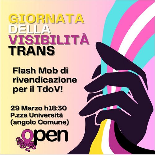 FlashmobTDOV